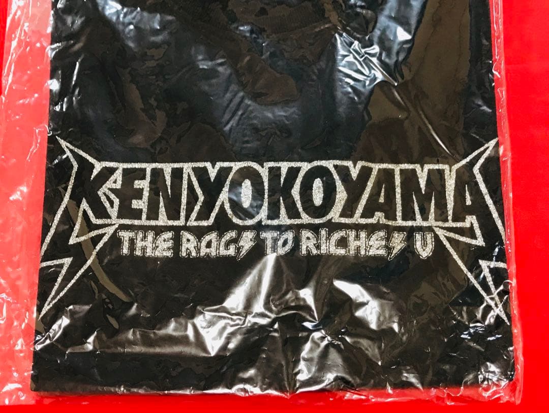 新品 KEN YOKOYAMA 横山 健『RagsツアーⅤ』銀ラメTシャツM