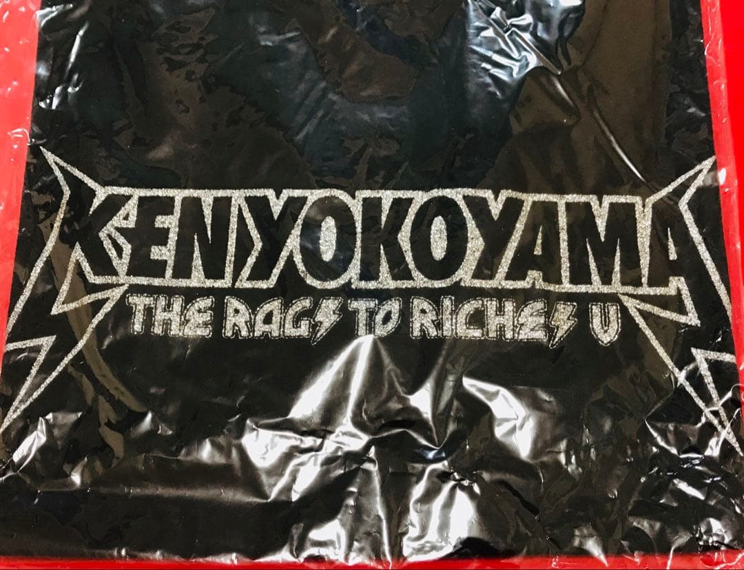新品 KEN YOKOYAMA 横山 健『RagsツアーⅤ』銀ラメTシャツM