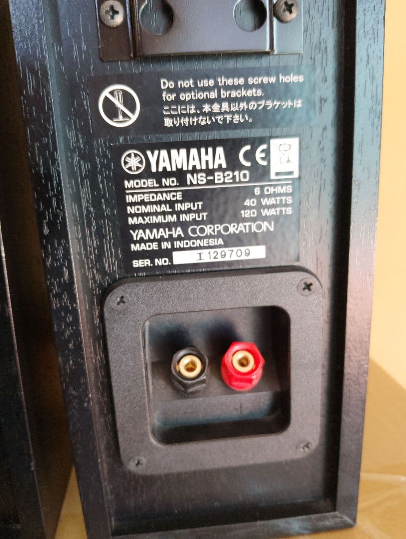 L*1様 YAMAHAヤマハNS-B210