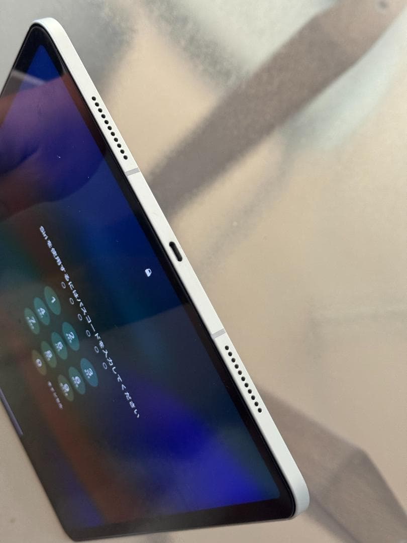 F*R様 Apple iPad Pro 12.9 Cellular 2TB 訳あ