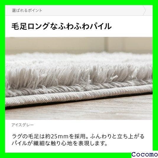 《送料無料》 ラグ 夏用 冬用 ホットカーペット 洗える g シャギーラグ 4