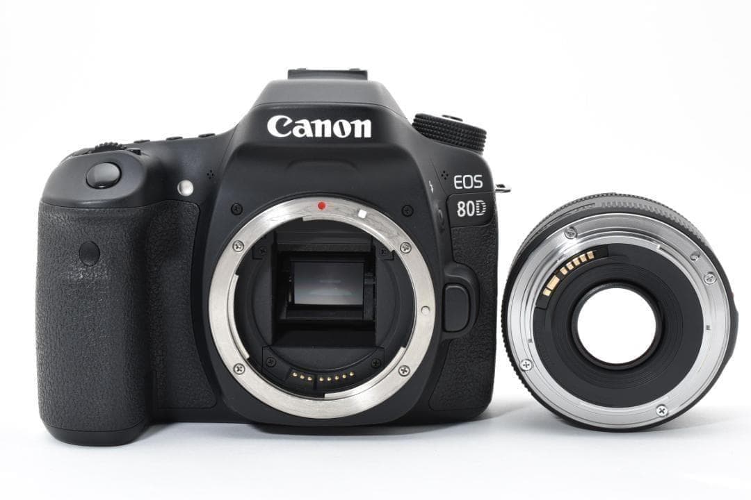 ■美品■ キヤノン　Canon EOS 80D+EF 50mm F1.8 STM