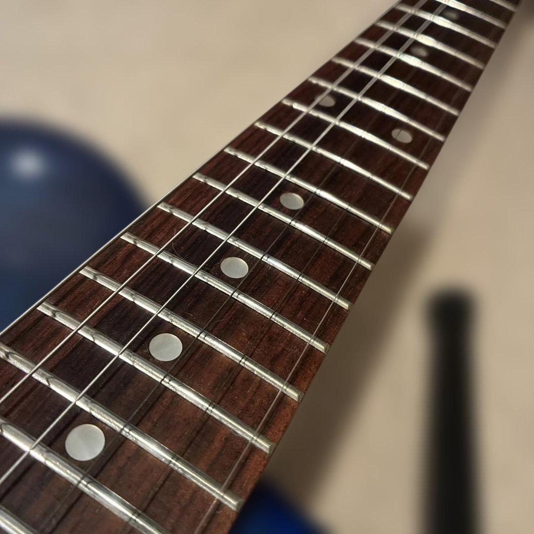 ピグノーズPGG200 ブルー