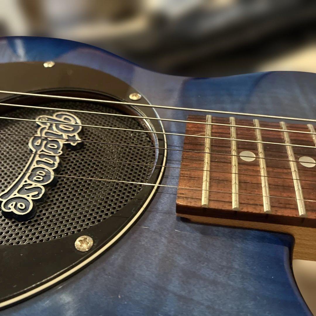 ピグノーズPGG200 ブルー