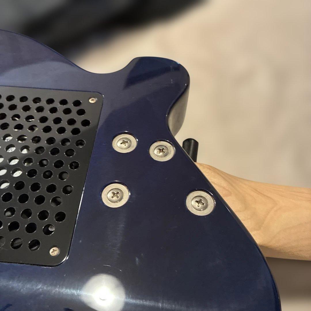 ピグノーズPGG200 ブルー