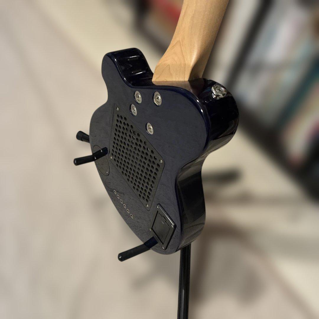 ピグノーズPGG200 ブルー