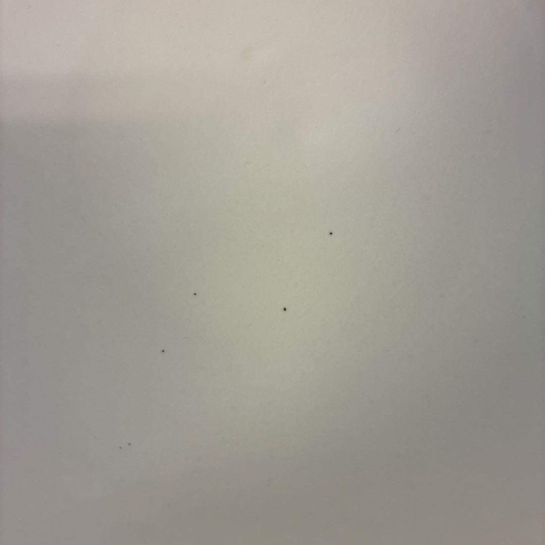 新品　陶器　陶芸作家　煮物鉢3個　727