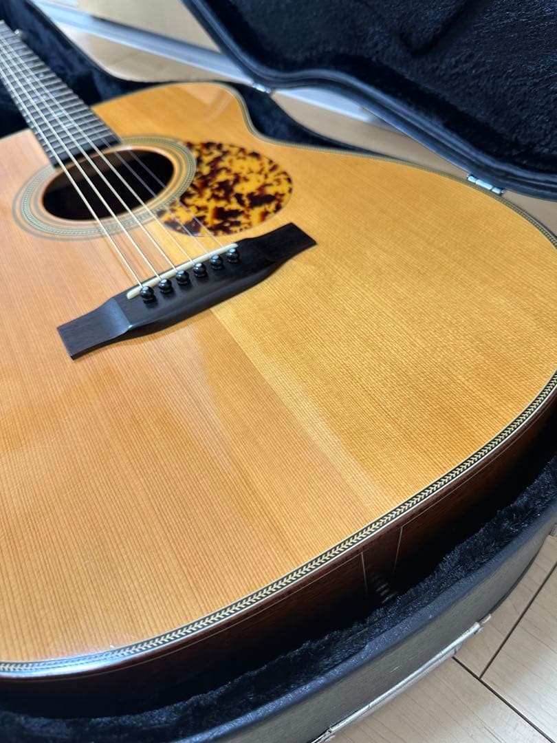 ギター HEADWAY HCF500M