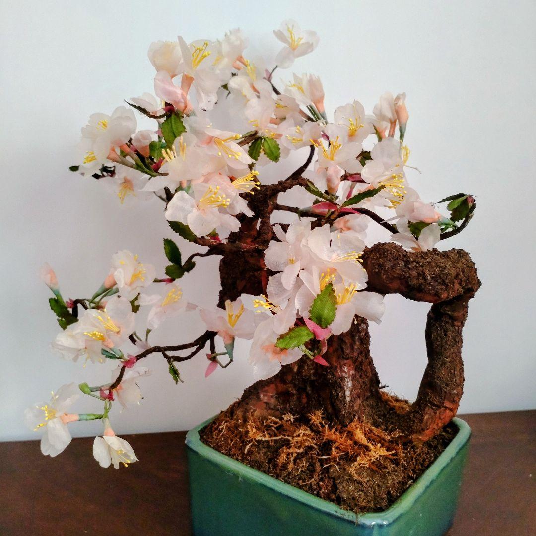 桜の盆栽 　クラフト 桜の花　枝 　コケ 全て手作り です