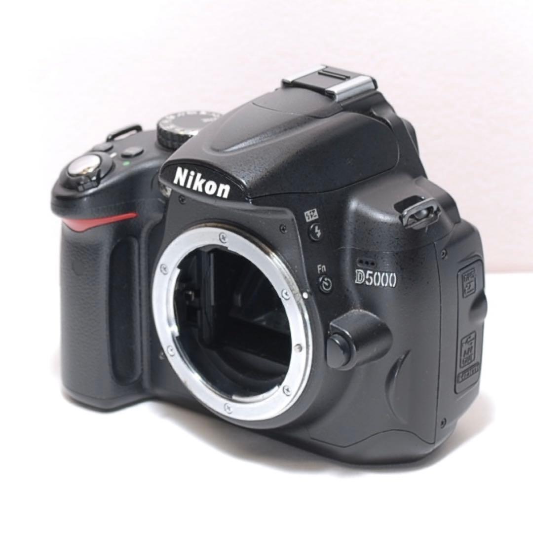 望遠レンズデビュー✨Nikon D500✨ダブルレンズ✨野球観戦に✨ニコン
