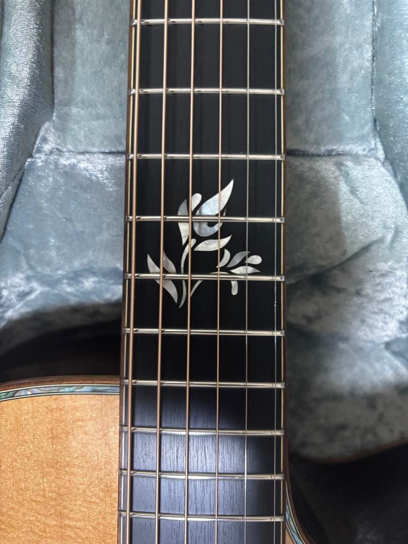 Furch Rainbow GC-SR Legend25 Inlay フォルヒ