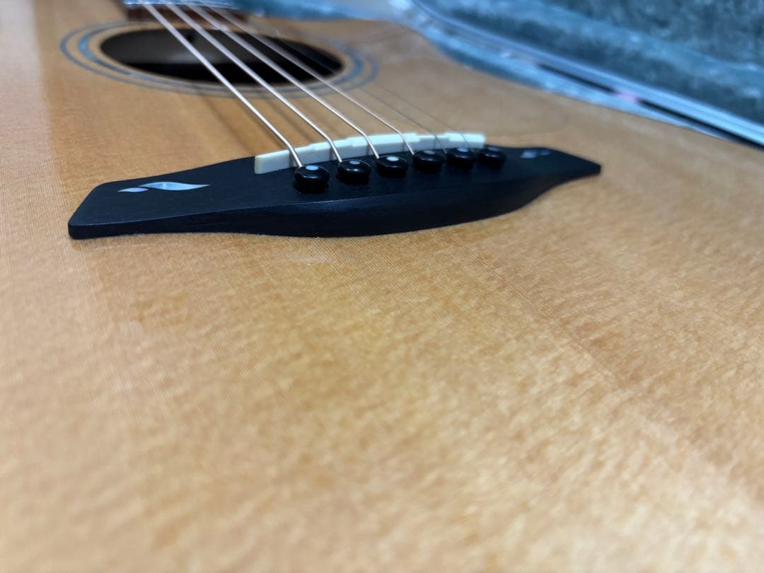 Furch Rainbow GC-SR Legend25 Inlay フォルヒ