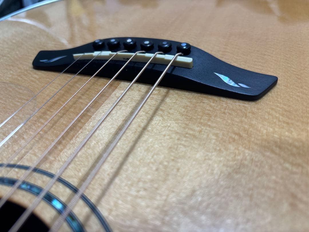 Furch Rainbow GC-SR Legend25 Inlay フォルヒ