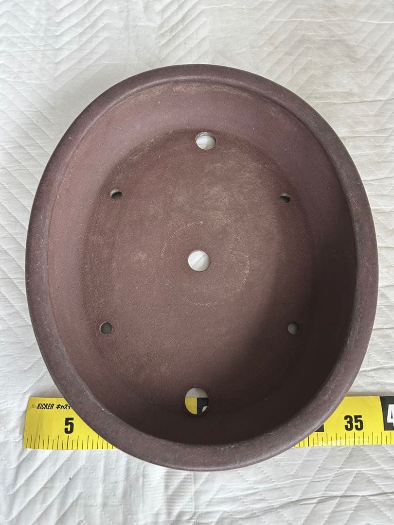 (特大)常滑時代鉢 【松泉焼 山秋造 】紫泥内縁楕円盆栽鉢