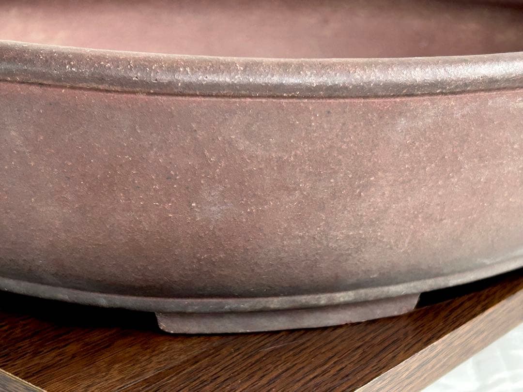 (特大)常滑時代鉢 【松泉焼 山秋造 】紫泥内縁楕円盆栽鉢