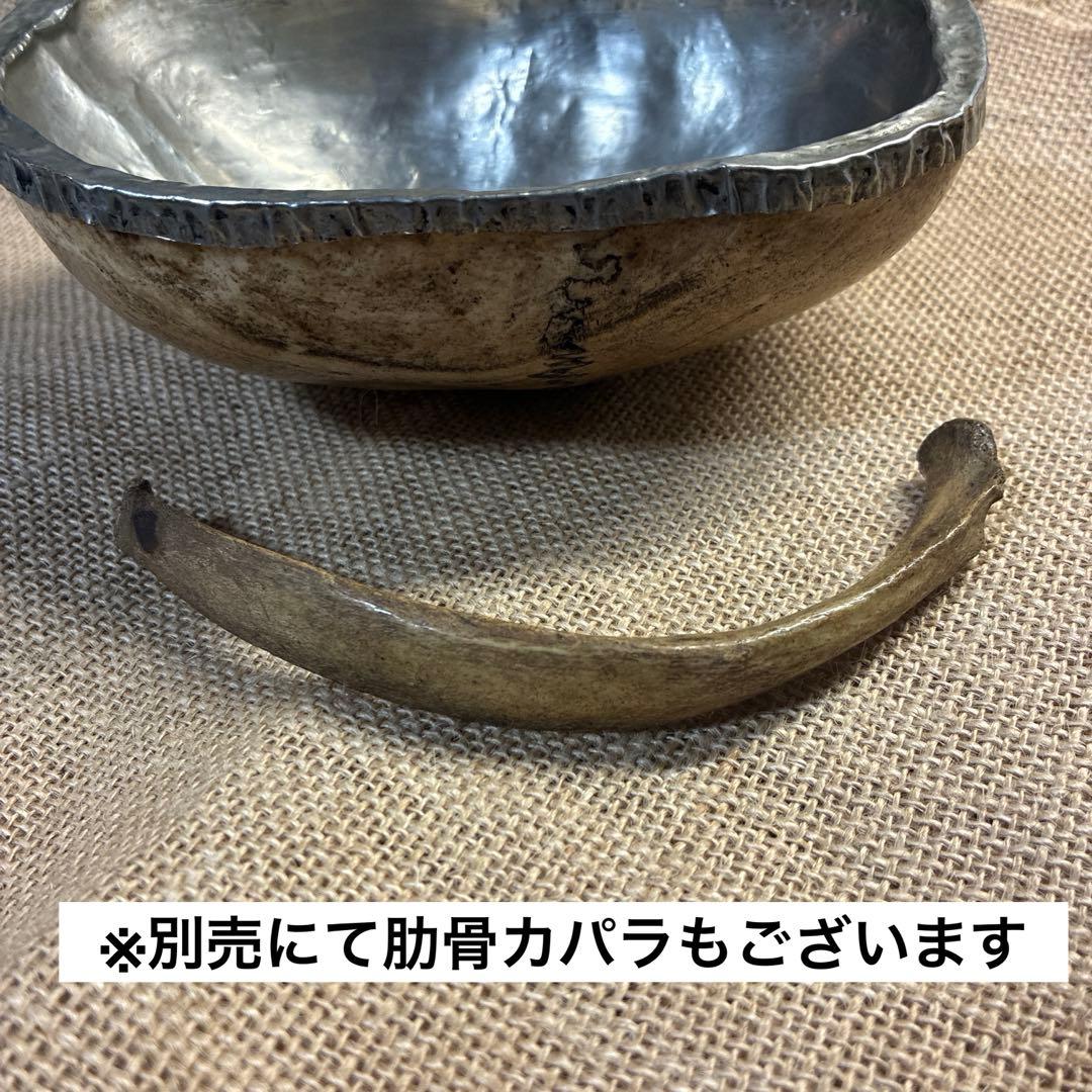 カパラ　カパーラ　ペンダント　僧骨　頭蓋骨　スカル　チベット　チベタン