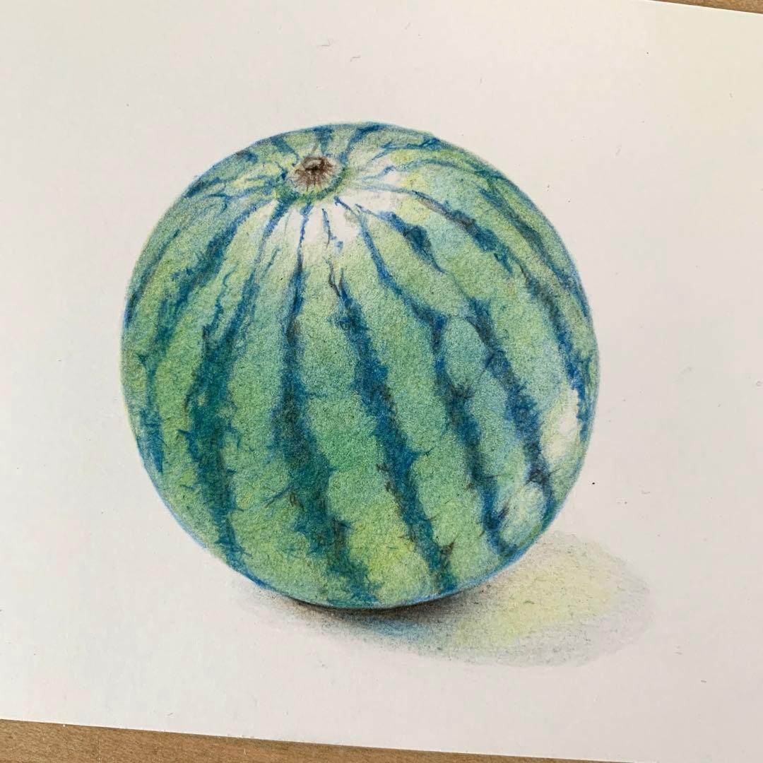 Lです　色鉛筆画　手描き原画　8点
