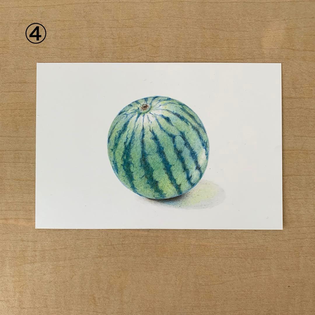 Lです　色鉛筆画　手描き原画　8点