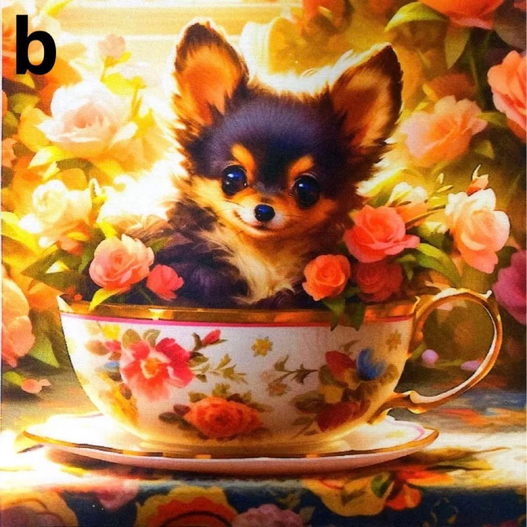 オーダーページ パネル ブラックタン チワワ 10/11