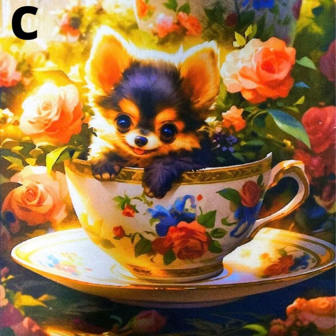 オーダーページ パネル ブラックタン チワワ 10/11