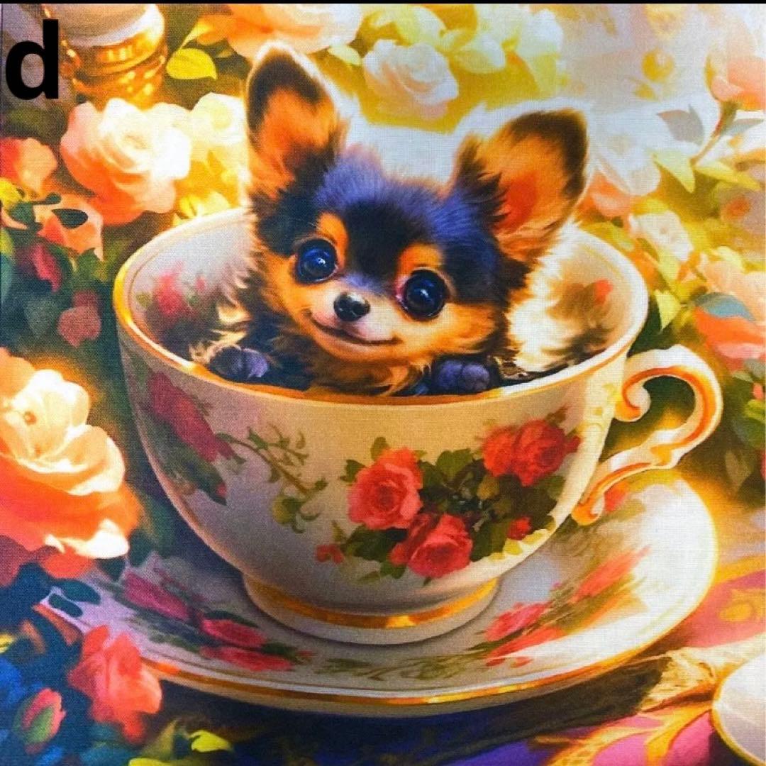 オーダーページ パネル ブラックタン チワワ 10/11