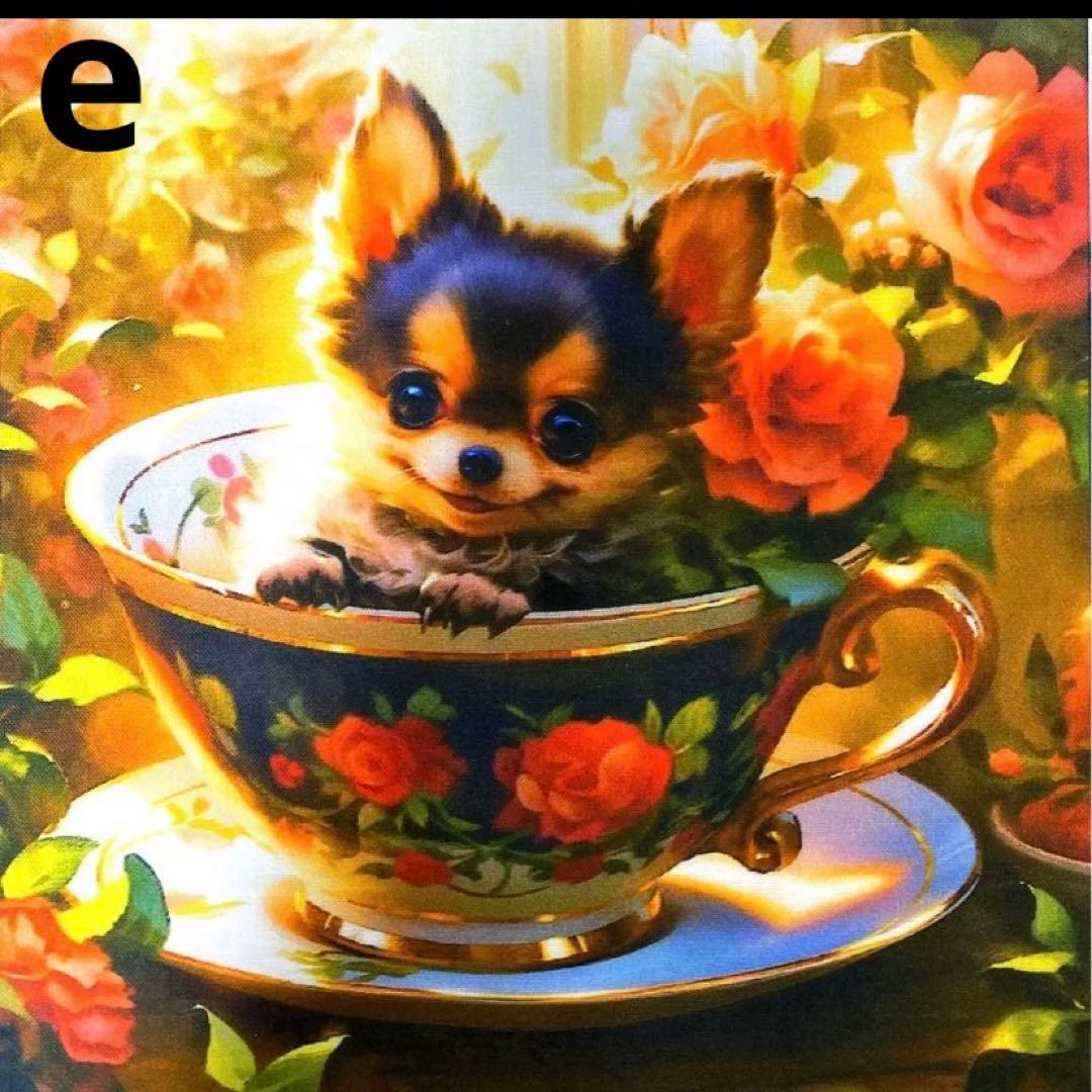 オーダーページ パネル ブラックタン チワワ 10/11