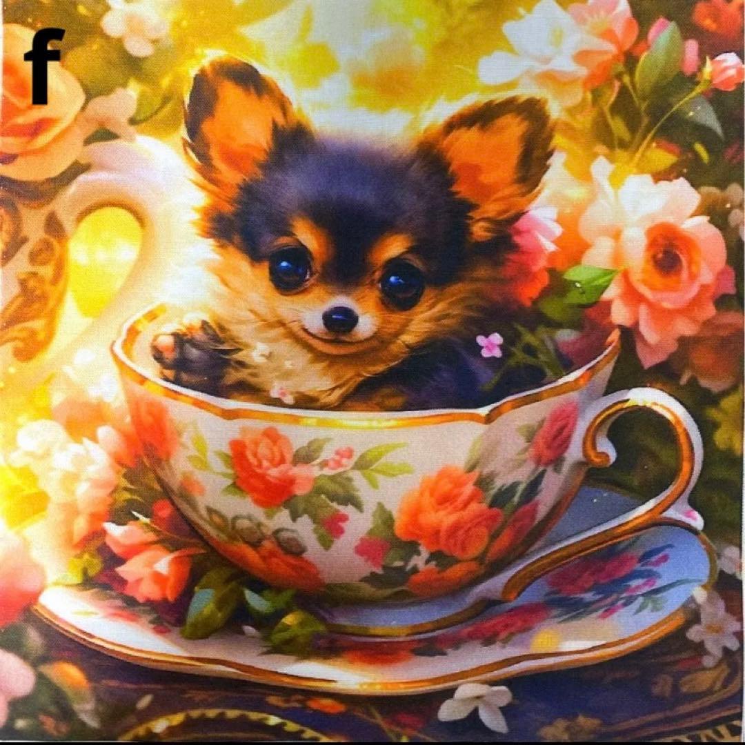 オーダーページ パネル ブラックタン チワワ 10/11