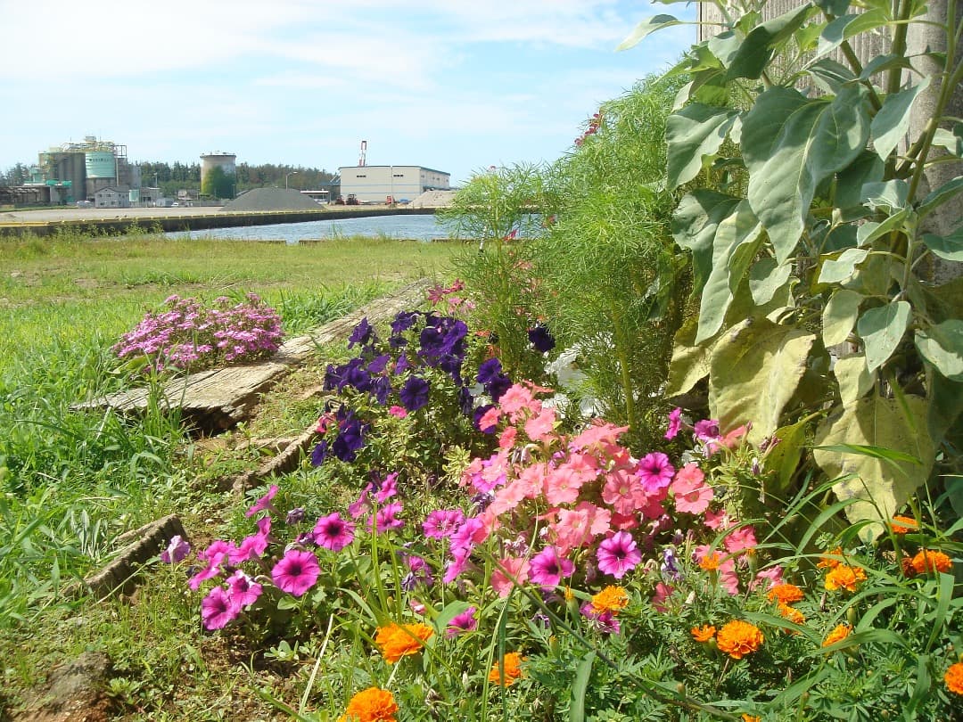 実写美⭕️【動作確認済】 SONY DSC-T3 Cyber-shot