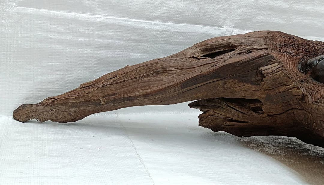希少　ケニア黒檀無垢　手彫り民族顔　天然木オブジェ　流木　アクアリウム