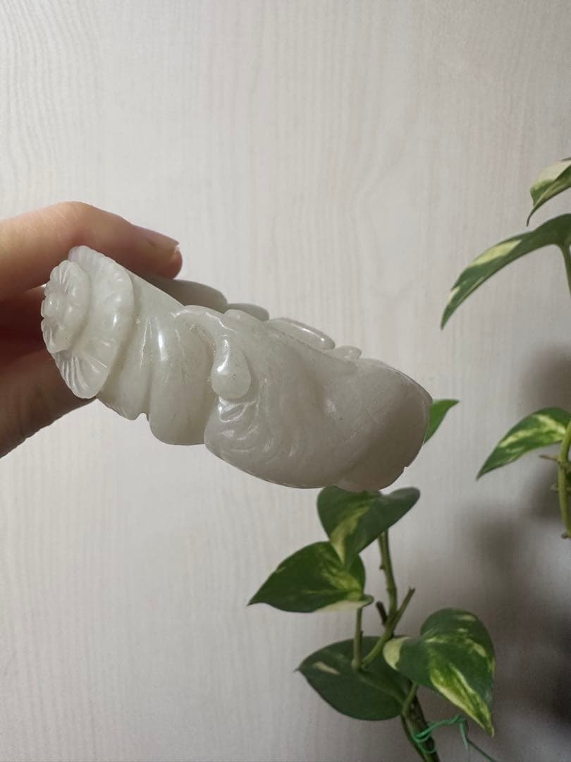 春節祭　カササギ　エキネシア　彫刻バングル　シャー太白バングル　天然石