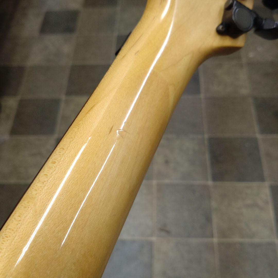 Chatting Bird By CAPARISON ストラト