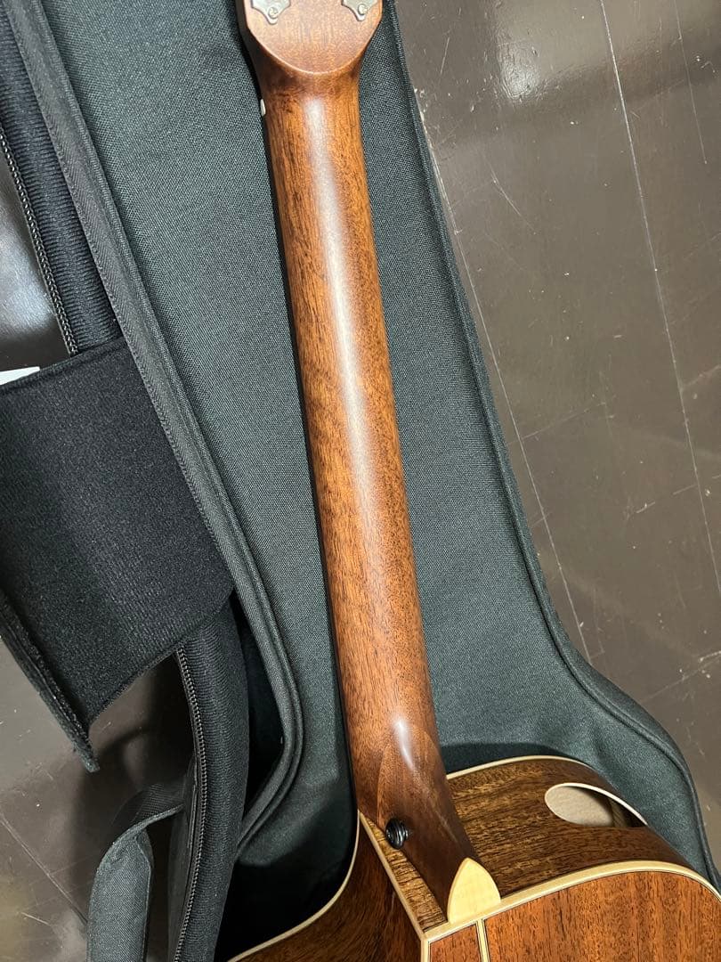 アコースティックギター　L.Luthier