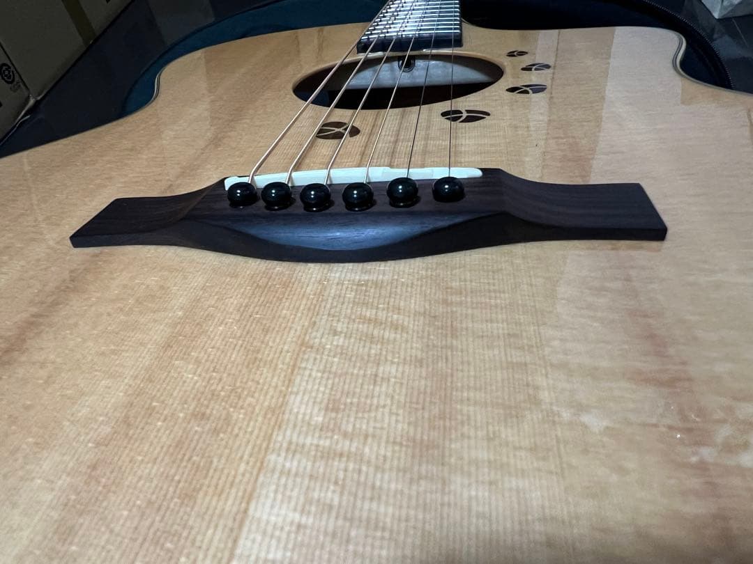 アコースティックギター　L.Luthier