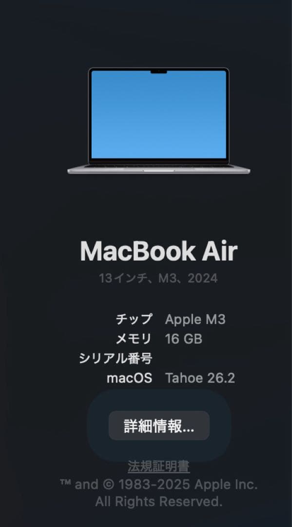 MacBook Air M3 16GB/256GB スペースグレー｜付属品完備