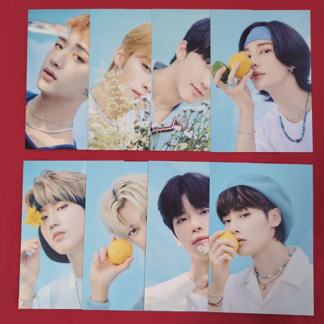 スキズ straykids 韓国FC STAY2期 キット