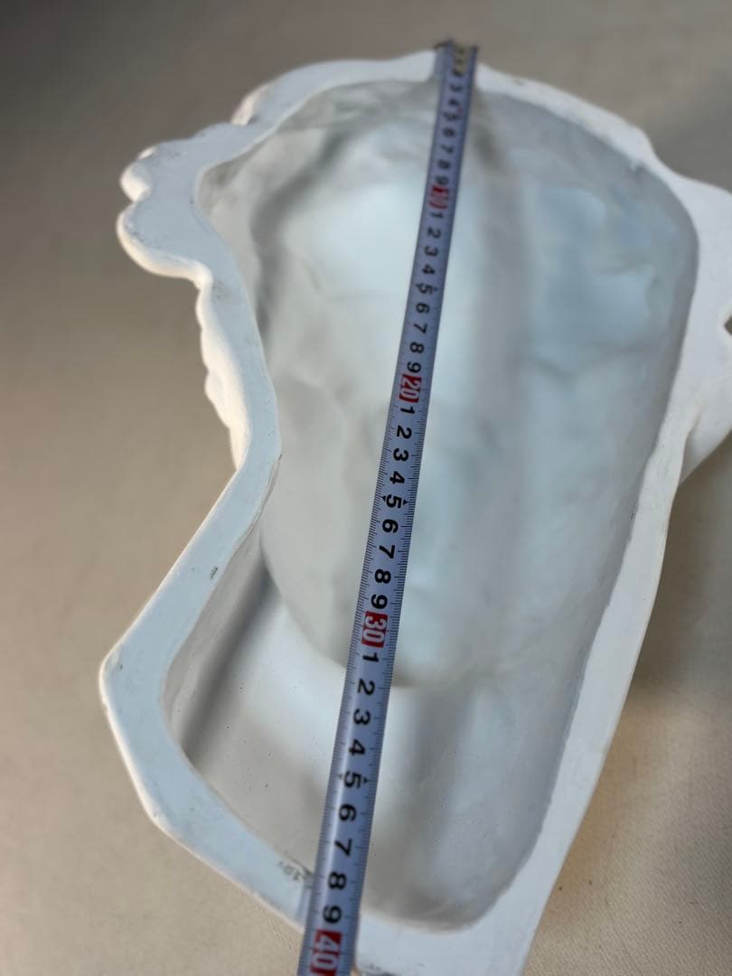 石膏像　メディチ　デッサン　半面像　美術　絵画　オブジェ　彫刻　アート