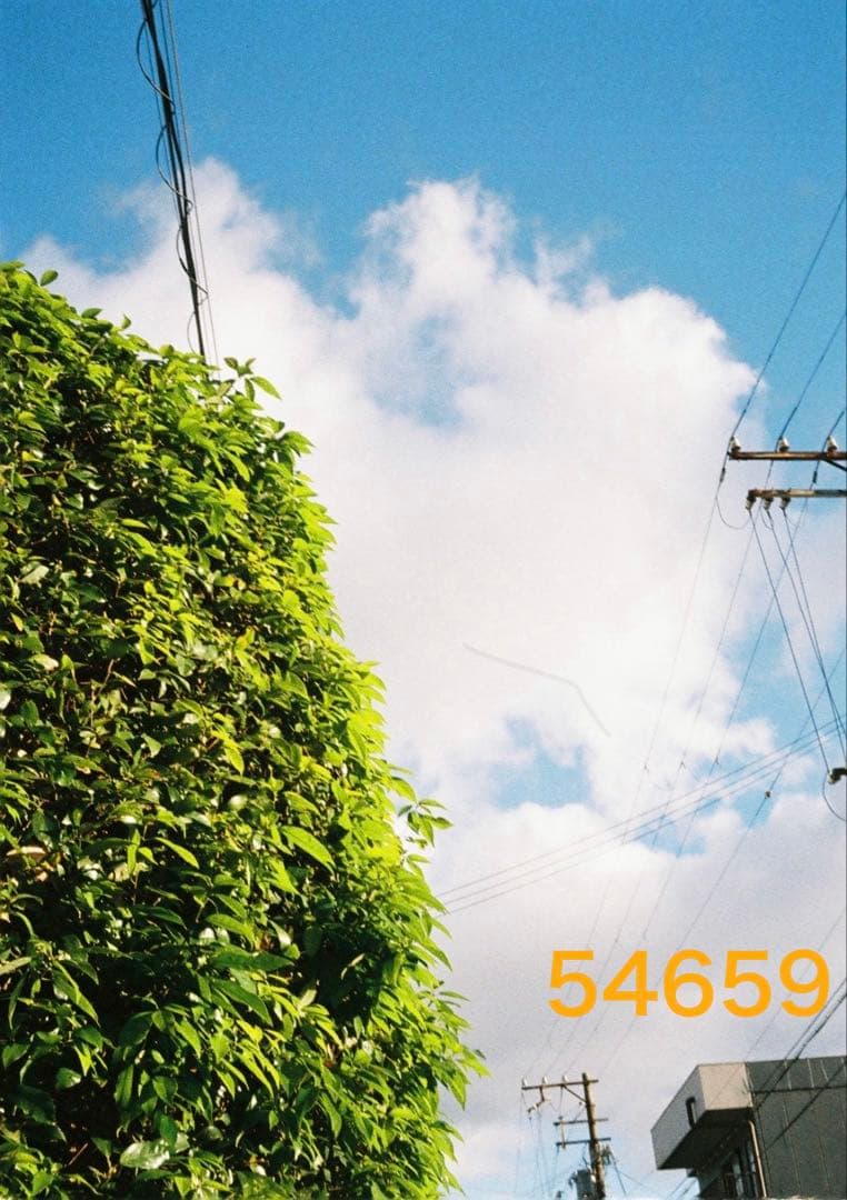 保証付き オートハーフ　初期型　AUTOHALF 動作良好