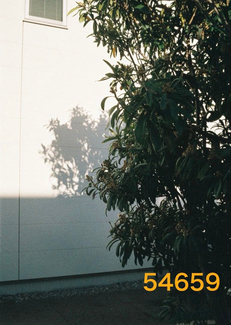 保証付き オートハーフ　初期型　AUTOHALF 動作良好