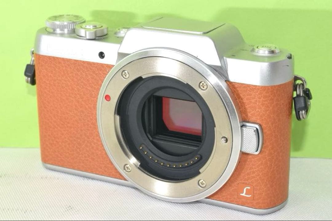 Panasonic DMC-GF7 ☆送料無料☆