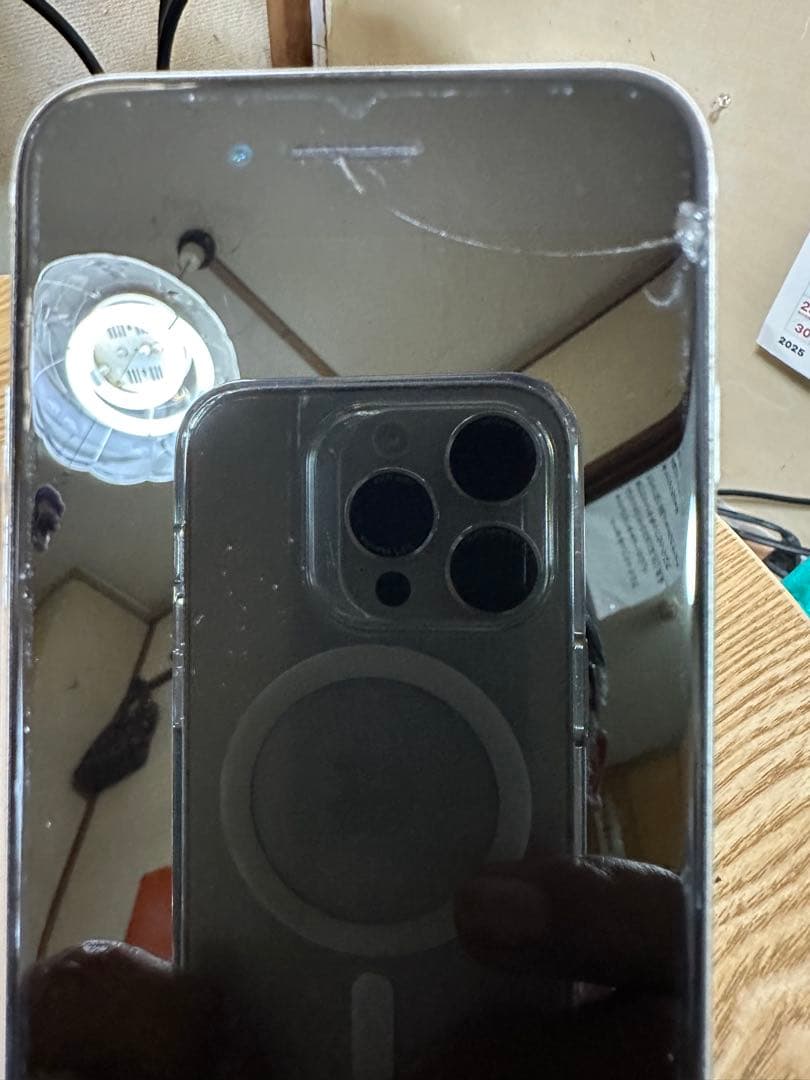 ジャンク扱いApple iPhone se2