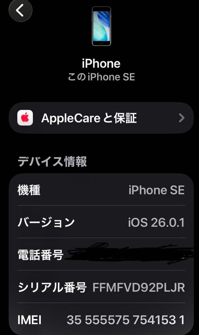 ジャンク扱いApple iPhone se2