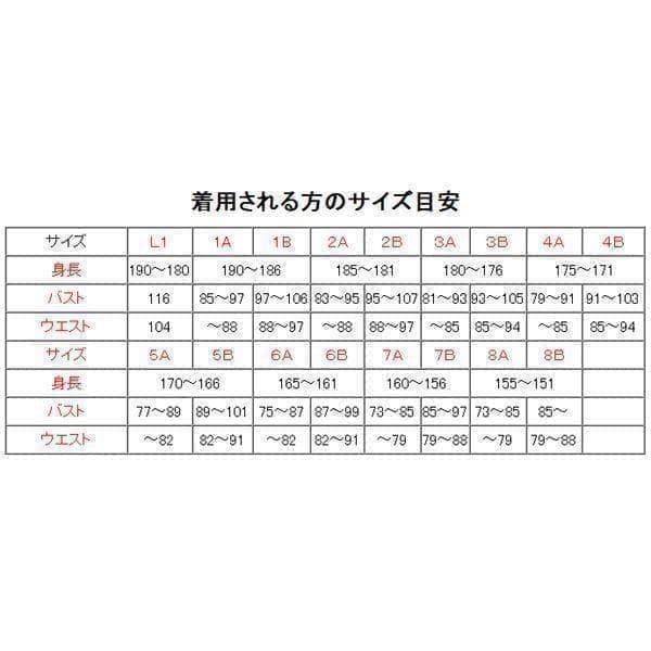 陸上自衛隊 リップストップ 迷彩服 ４A×２