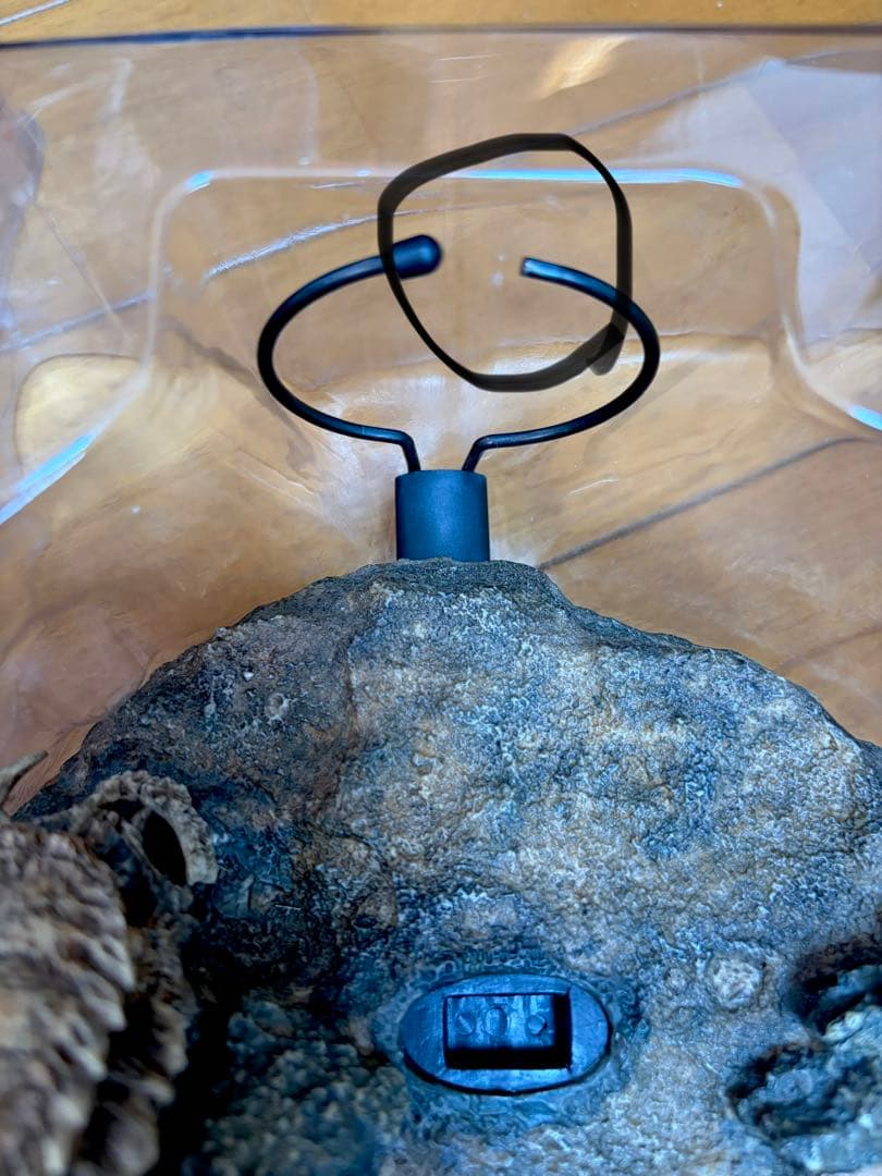 ホットトイズ　シープレデター　マチコ