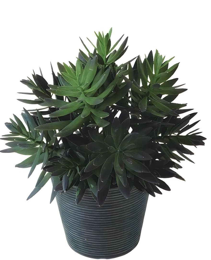 光触媒　人工観葉植物　ウォールグリーン　フェイクグリーン　サッカレントポット