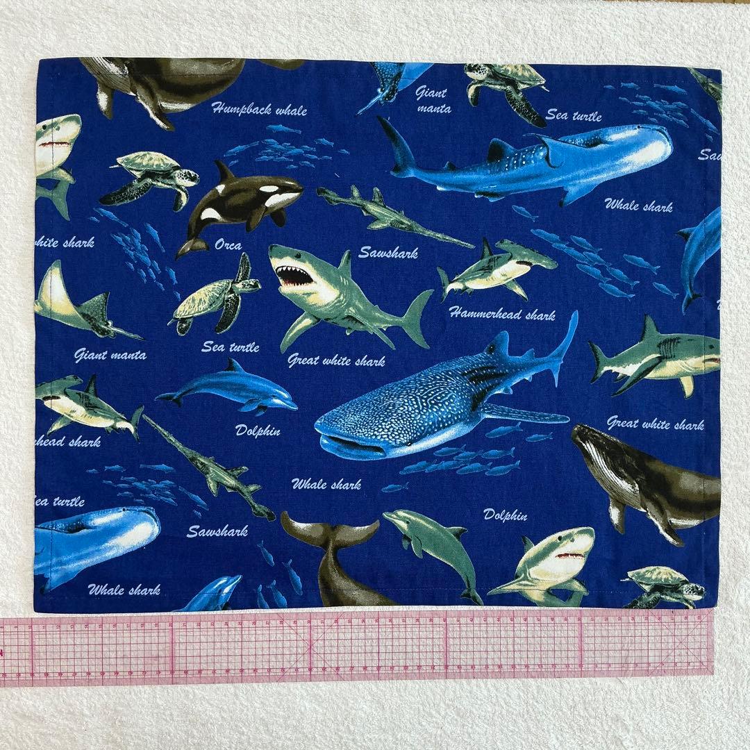 052海 給食セット×5枚 小学校 ランチョンマット ネームタグ 入学 給食