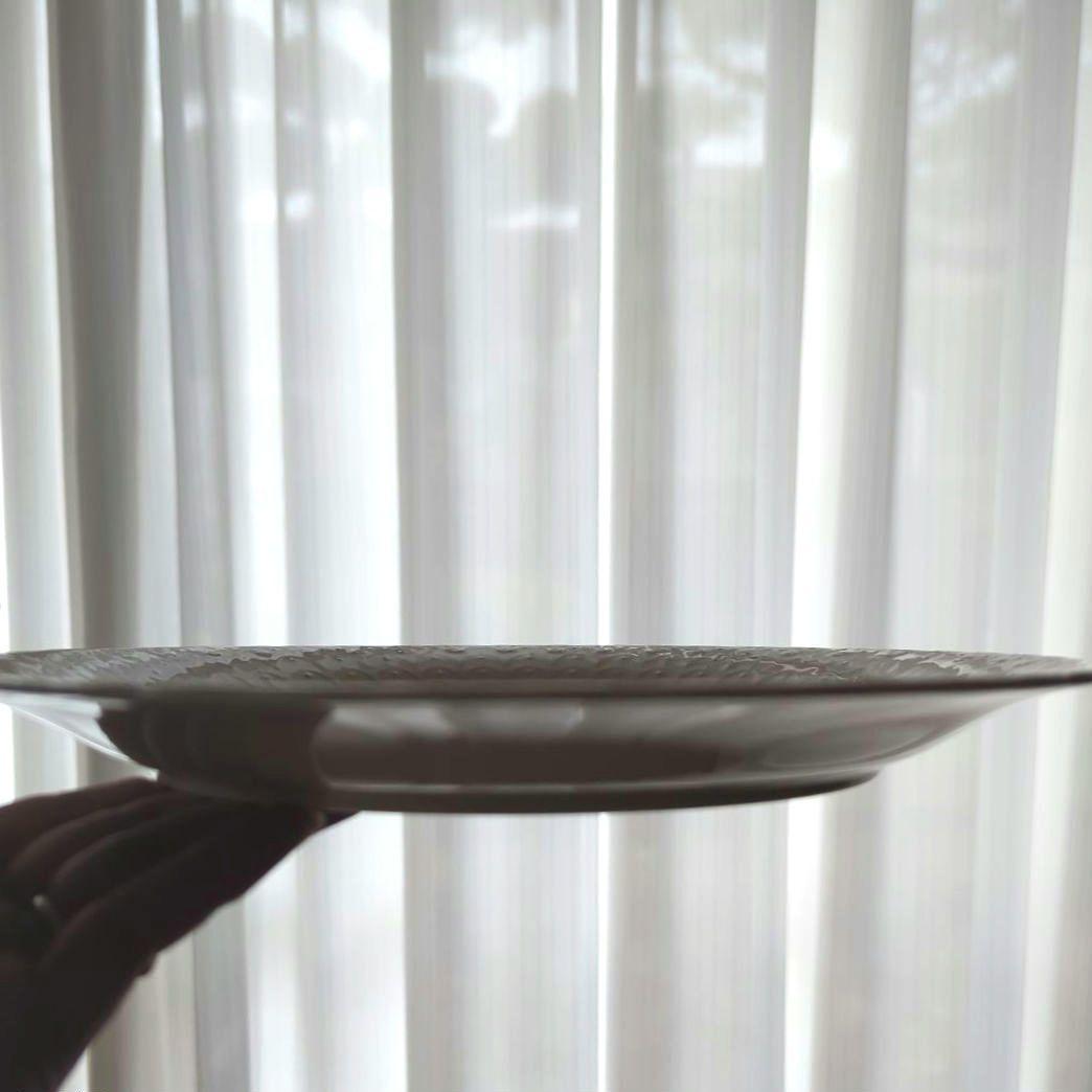 ナルミ　シルキーホワイト　エイプリルローズ　ディナープレート皿　27cm 5枚