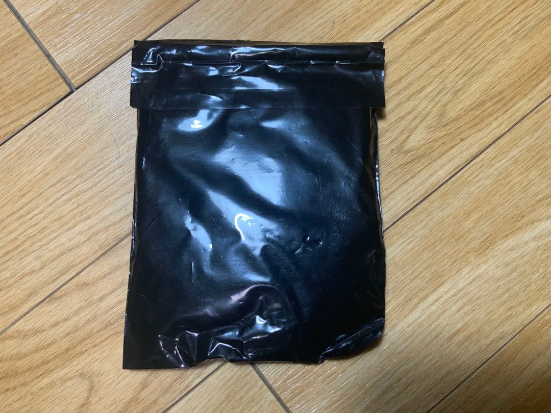 figma 馬 ver.2 （白）　特典付き