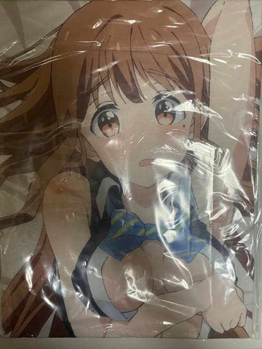 藤ノ宮寧子　抱き枕カバー 政宗くんのリベンジ　 SILVER LINK 限定