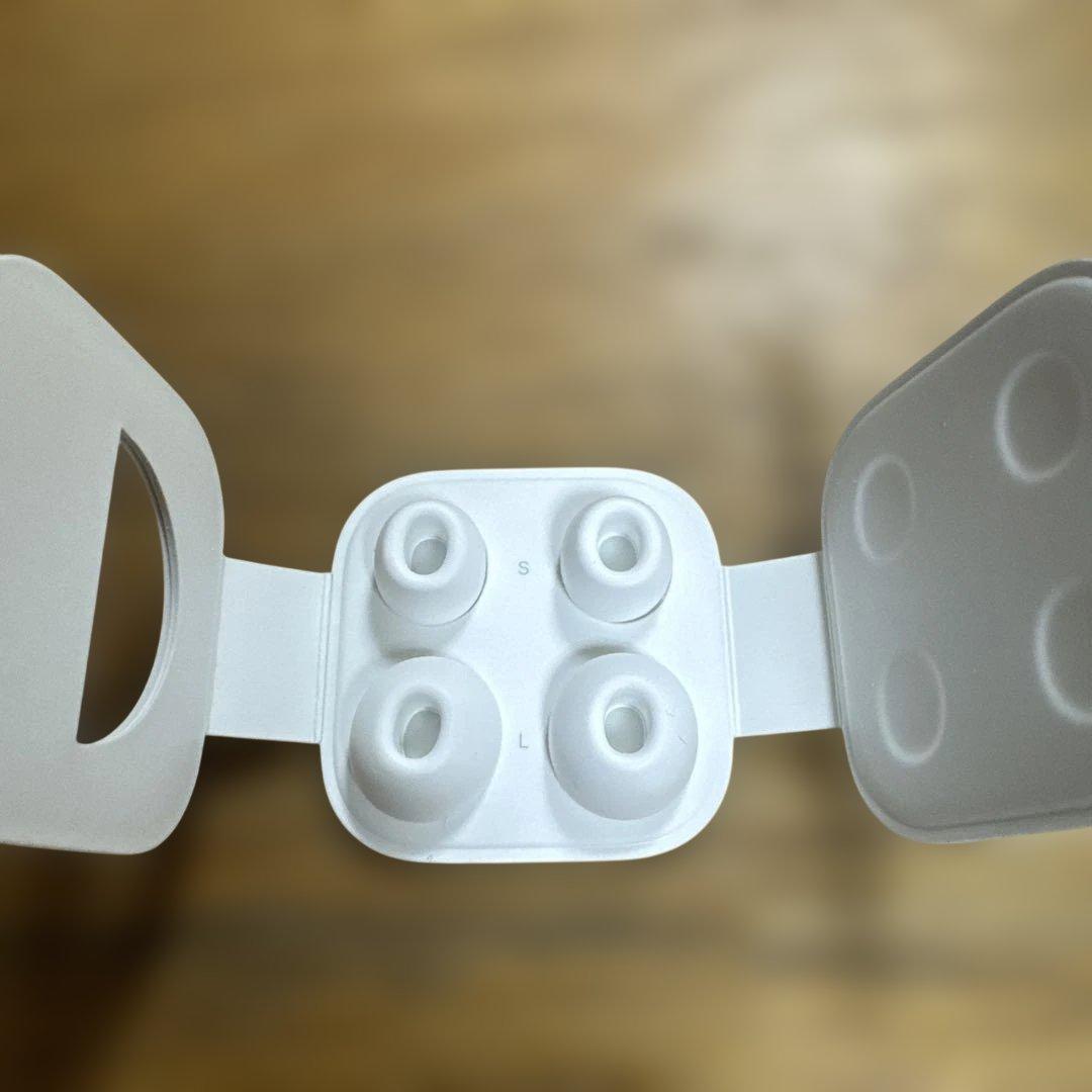 『お値下げ不可』Apple AirPods Pro 第一世代　本体＋付属品付き