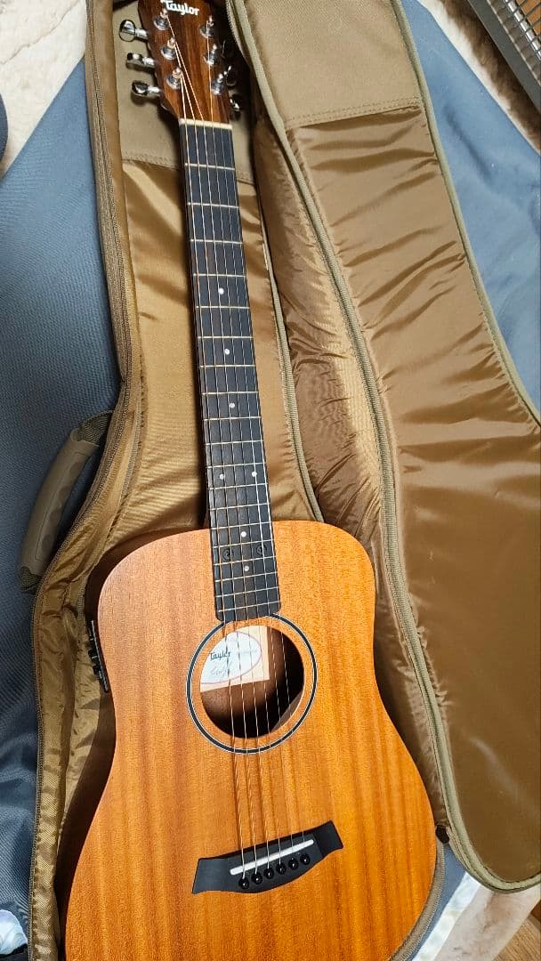 Taylor Baby Taylor BT2e エレアコミニギター 純正ケース付
